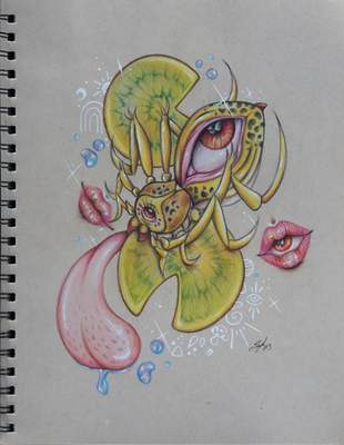 Lucid Spider