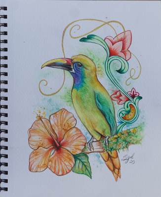 Tucancillo Verde